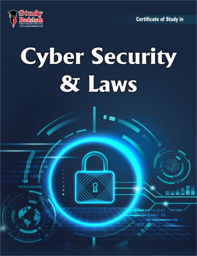 Cyber Security & Laws